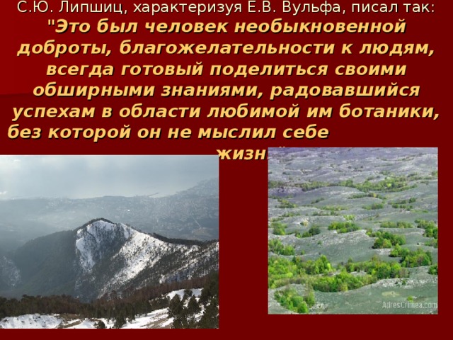   С.Ю. Липшиц, характеризуя Е.В. Вульфа, писал так: 