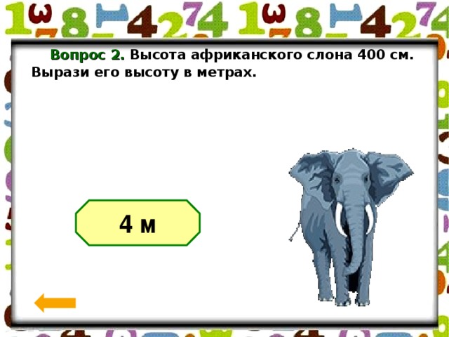 Вопросы по высоте. Рост слона. Высота африканского слона. Высота слона в метрах. Рост слона в метрах.