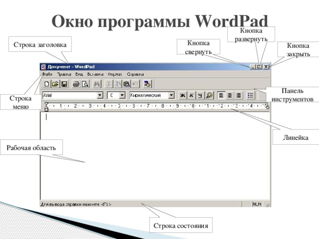 Укажите элементы окна текстового процессора. Текстовой процессор ворд пад. Панели инструментов MS Word. Элементы окна ворд ПВД. Элементы управления Word Pad.