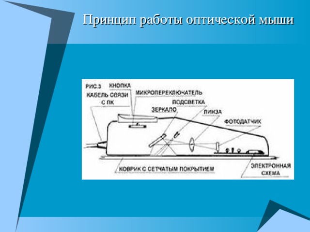 Какие манипуляторные устройства используются в ноутбуках