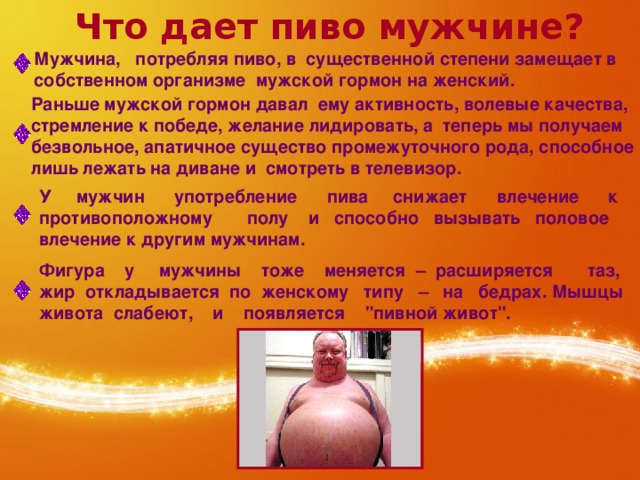 Пивной алкоголизм и гормоны человека проект