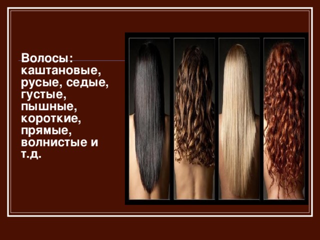 Различия волос. Строение прямые и кудрявые волосы. Кудрявые и прямые волосы личность. Типы волос прямые волнистые. Типы волос человека.