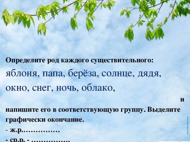 Каждый род. Имена существительные яблоня. Берёза папа. Все формы имени существительного Яблонька. Найти окончание существительного яблоня,рожь,лужайка.