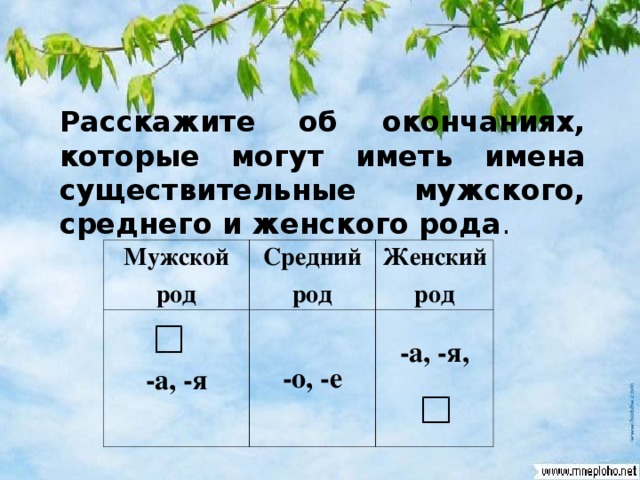 Определи род имен существительных дорога облако снег лето весна дом пальто кровать