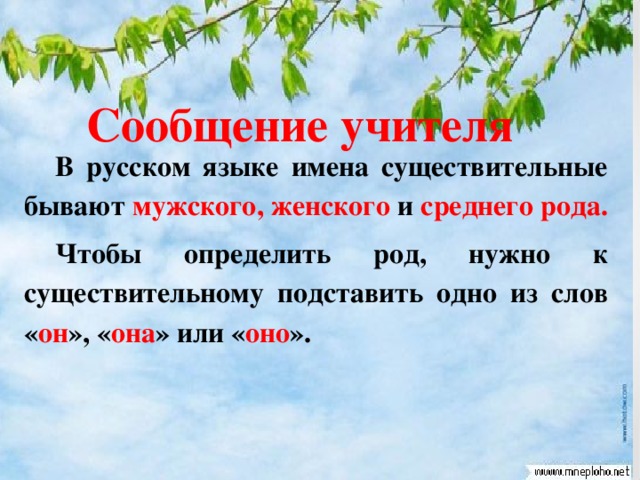 Надо род. В русском языке имена существительные бывают. Учитель какой род существительного. Учитель какого рода женского или мужского. Род слова учитель.