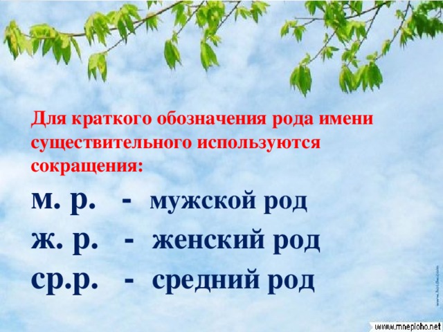 как определить род 2 класс. как обозначить род. род имён существительных аббревиатур. имя существительное мужской род женский род средний род. имя существительное мужской род женский род средний род.