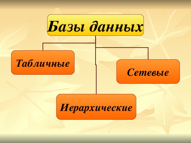 Браузеры текстовые и графические редакторы системы управления базами данных табличные процессоры