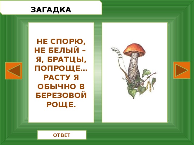  ЗАГАДКА НЕ СПОРЮ, НЕ БЕЛЫЙ – Я, БРАТЦЫ, ПОПРОЩЕ… РАСТУ Я ОБЫЧНО В БЕРЕЗОВОЙ РОЩЕ. ОТВЕТ 