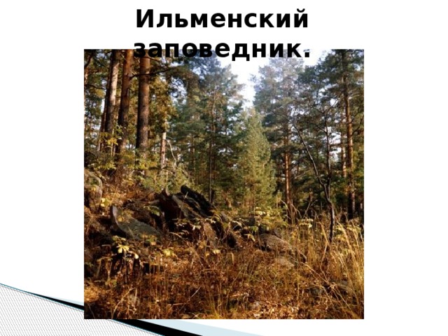 Ильменский заповедник. 