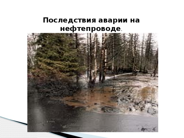 Последствия аварии на нефтепроводе . 