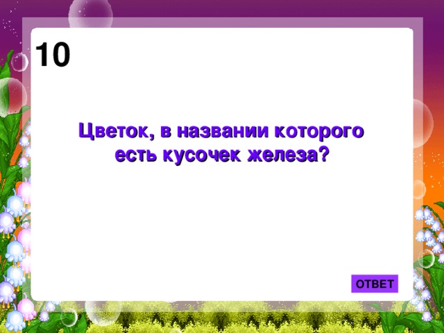 10 Цветок, в названии которого есть кусочек железа?  ОТВЕТ 