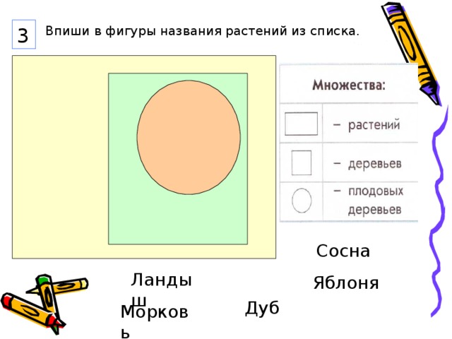 3 Впиши в фигуры названия растений из списка. Сосна Ландыш Яблоня Дуб Морковь 