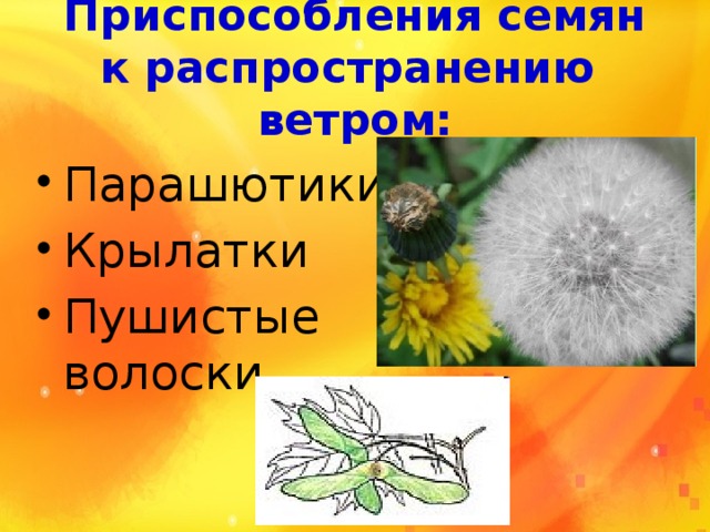 Приспособление семян