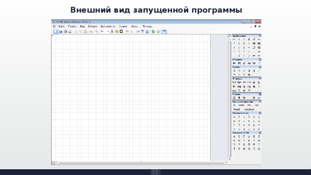 Внешний вид запущенной программы 