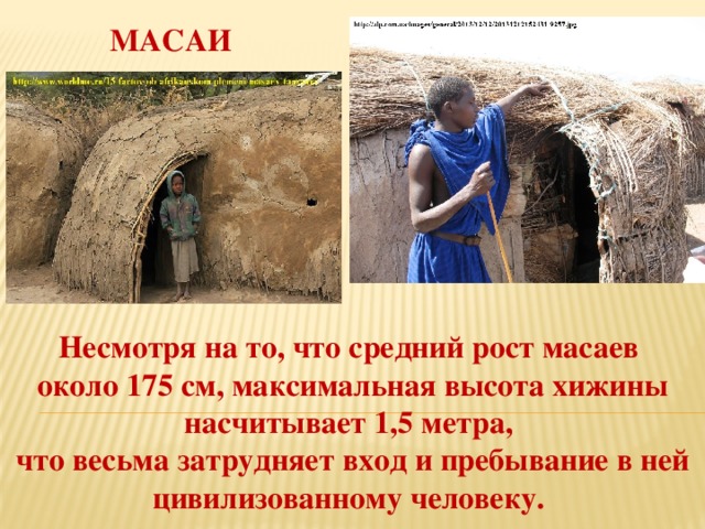 МАСАИ Несмотря на то, что средний рост масаев около 175 см, максимальная высота хижины насчитывает 1,5 метра, что весьма затрудняет вход и пребывание в ней цивилизованному человеку. 