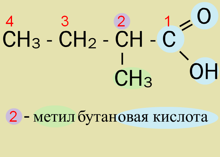 Бутановая кислота структурная. 2 Метилбутановая кислота структурная формула. Формула 2 метилбутановой кислоты. 2 Метилбутановая кислота формула. 2 Метилбутановая кислота структурная.
