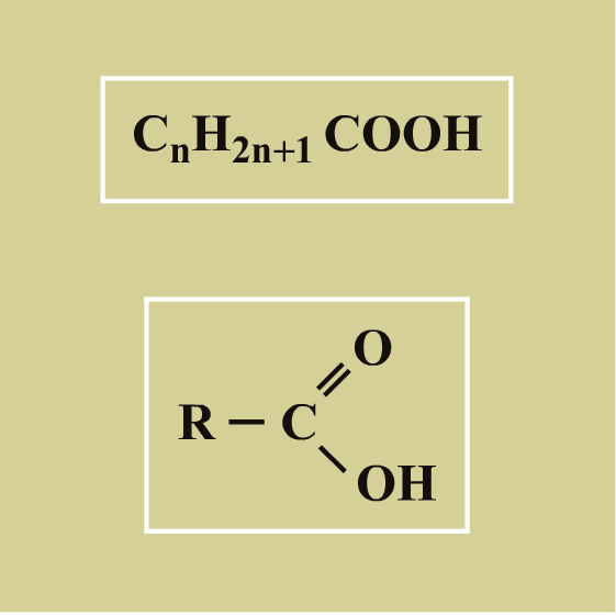 Общая формула предельных одноосновных карбоновых кислот. Общая формула карбоновых кислот по химии. Общая формула одноосновных кислот. Формула одноосновной карбоновой кислоты. Выберите формулу карбоновых кислот
