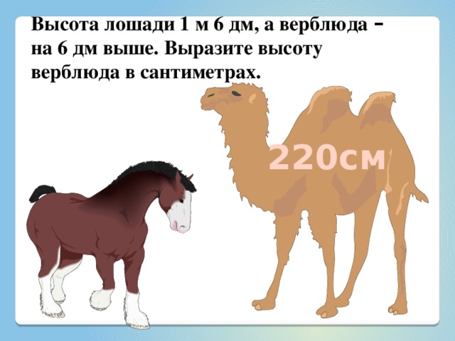 Верблюд цветовая схема слова - 98 фото