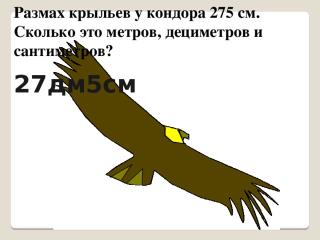 27 дм. Размах крыльев. Сколько размах крыльев. Сколько размах крыльев у орла. Сколько метров Крылья у орла.