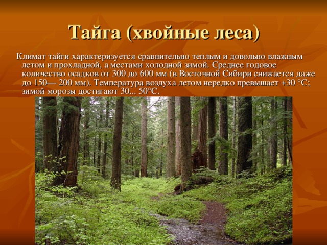  Климат тайги характеризуется сравнительно теплым и довольно влажным летом и прохладной, а местами холодной зимой. Среднее годовое количество осадков от 300 до 600 мм (в Восточной Сибири снижается даже до 150— 200 мм). Температура воздуха летом нередко превышает +30 °С; зимой морозы достигают 30... 50°С. 