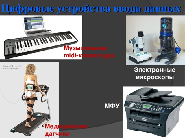 Цифровые устройства ввода данных Музыкальные midi- клавиатуры Электронные микроскопы МФУ Медицинские датчики 