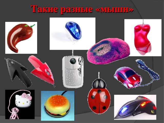 Такие разные «мыши» 