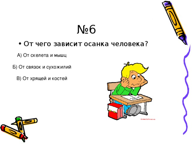 № 6 От чего зависит осанка человека? А) От скелета и мышц Б) От связок и сухожилий В) От хрящей и костей 