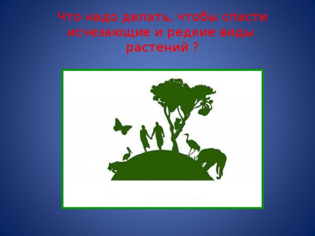 Что надо делать, чтобы спасти исчезающие и редкие виды  растений ? 