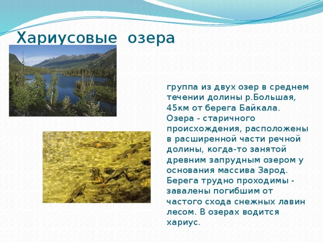 Примеры старичных озер. Примеры озер старичного происхождения. Старичное происхождение озер. Озёра группа. Озера старичного происхождения в России