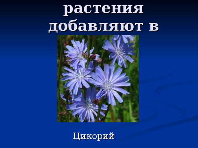Презентация-викторина по цветоводству