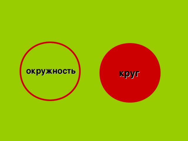 окружность круг 
