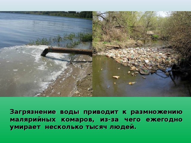 Привести воду