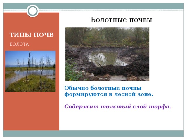 Болотные почвы ТИПЫ ПОЧВ БОЛОТА  Обычно болотные почвы формируются в лесной зоне.  Содержит толстый слой торфа . 
