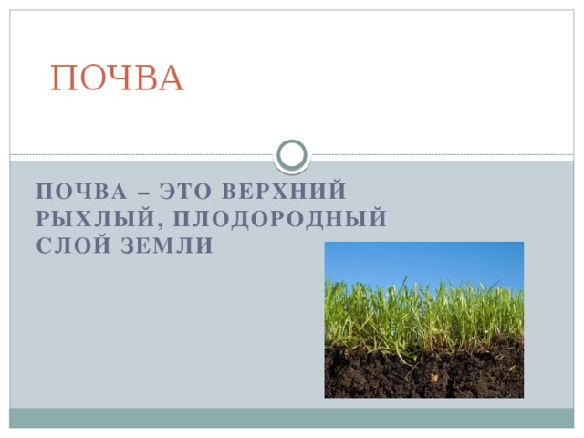 ПОЧВА ПОЧВА – ЭТО ВЕРХНИЙ РЫХЛЫЙ, ПЛОДОРОДНЫЙ СЛОЙ ЗЕМЛИ 