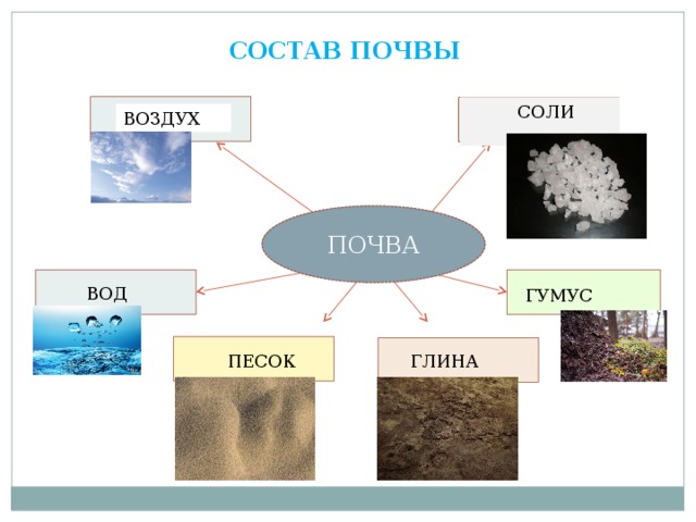 Почва свойства схема