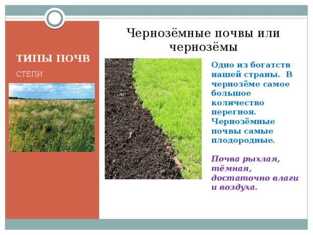 В какой природной зоне самые плодородные земли. Типы почв России черноземы. Тип почвы чернозем. Краткая характеристика почвы чернозем. Плодородие черноземных почв.