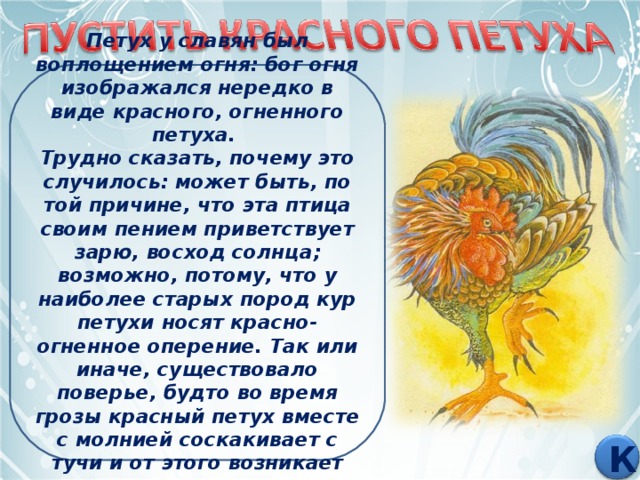 Петух у славян был воплощением огня: бог огня изображался нередко в виде красного, огненного петуха. Трудно сказать, почему это случилось: может быть, по той причине, что эта птица своим пением приветствует зарю, восход солнца; возможно, потому, что у наиболее старых пород кур петухи носят красно-огненное оперение. Так или иначе, существовало поверье, будто во время грозы красный петух вместе с молнией соскакивает с тучи и от этого возникает пожар... К 