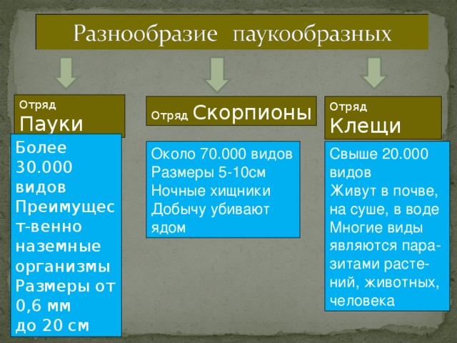 Отряд Пауки Отряд Скорпионы Отряд Клещи Более 30.000 видов Преимущест-венно наземные организмы Размеры от 0,6 мм до 20 см Около 70.000 видов Размеры 5-10см Ночные хищники Добычу убивают ядом Свыше 20.000 видов Живут в почве, на суше, в воде Многие виды являются пара-зитами расте-ний, животных, человека 