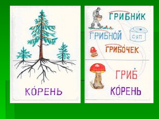Гриб какие однокоренные слова