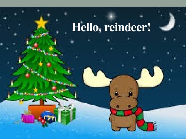Hello, reindeer! 