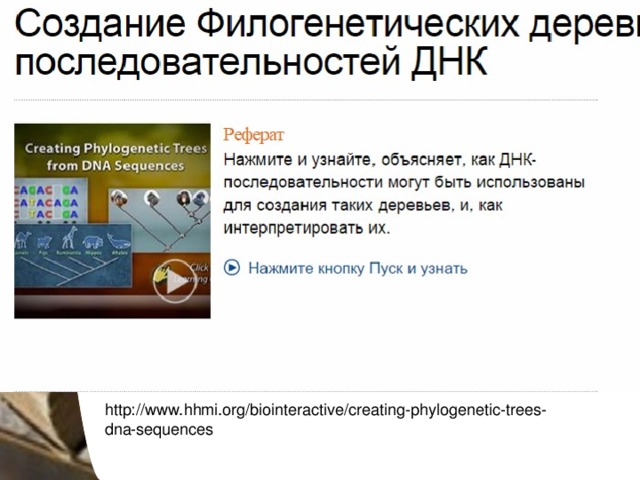 http://www.hhmi.org/biointeractive/creating-phylogenetic-trees-dna-sequences 