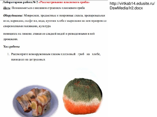 http://virtkab14.edusite.ru/DswMedia/lr2.docx 