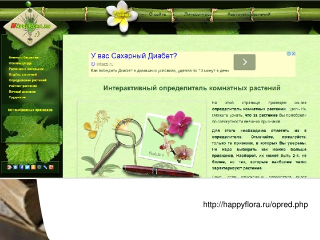 http://happyflora.ru/opred.php 