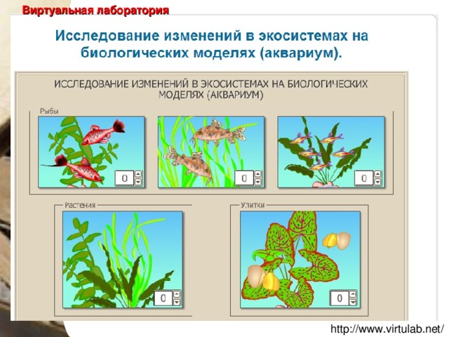 Виртуальная лаборатория http://www.virtulab.net/ 