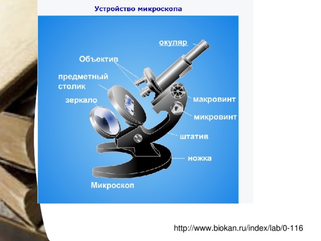 http://www.biokan.ru/index/lab/0-116 