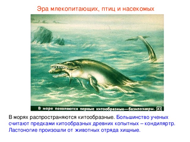 Первичноводные и вторичноводные животные