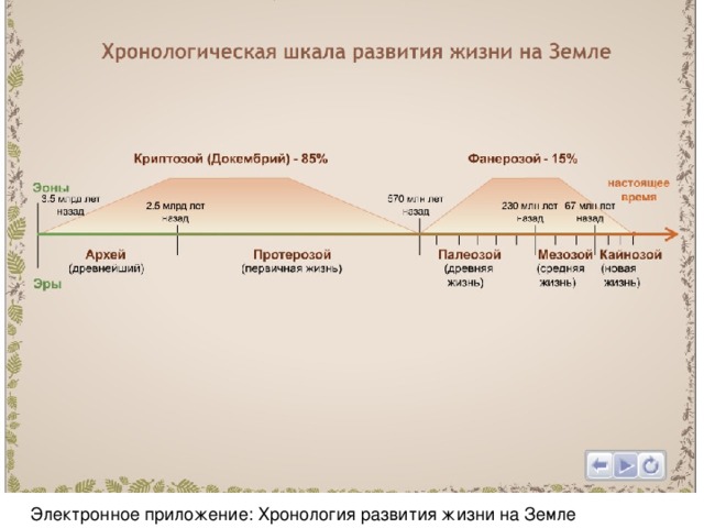 Хронология развития жизни на земле презентация