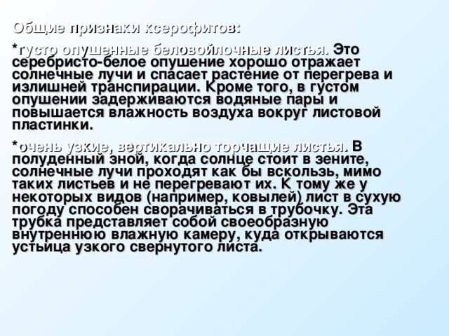 Общие признаки ксерофитов: * густо опушенные беловойлочные листья. Это серебристо-белое опушение хорошо отражает солнечные лучи и спасает растение от перегрева и излишней транспирации. Кроме того, в густом опушении задерживаются водяные пары и повышается влажность воздуха вокруг листовой пластинки. * очень узкие, вертикально торчащие листья. В полуденный зной, когда солнце стоит в зените, солнечные лучи проходят как бы вскользь, мимо таких листьев и не перегревают их. К тому же у некоторых видов (например, ковылей) лист в сухую погоду способен сворачиваться в трубочку. Эта трубка представляет собой своеобразную внутреннюю влажную камеру, куда открываются устьица узкого свернутого листа. 