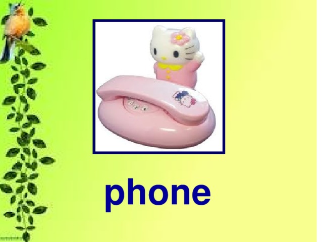 phone 