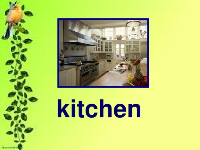 kitchen kitchen 